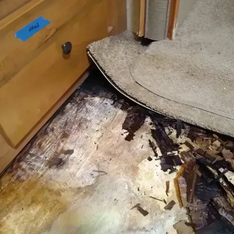 Best Wood Floor Water Damage Service in Shakopee, MN